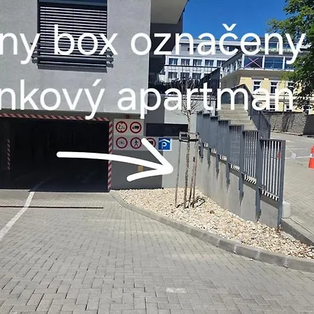 Bylinkovy *